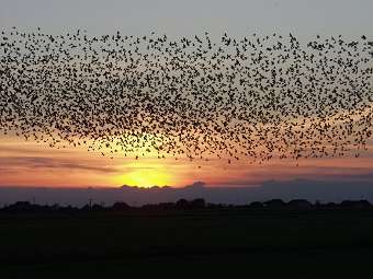 ���� � ����� geog.ucsb.edu