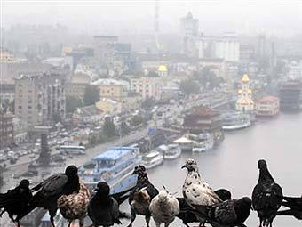 ����. ���� &copy;AFP