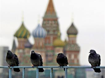  ©AFP