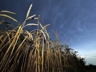 ���� &copy;AFP
