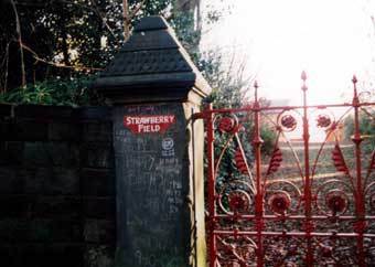 ������ Strawberry Field, ���� ����� www.mpi-sb.mpg.de