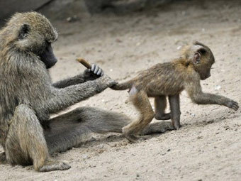 Фото ©AFP
