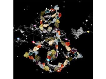 ������� ������� "Biophilia"