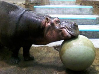 .  Mesker Park Zoo
