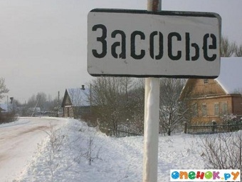    .    openok.ru