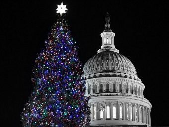 ������ ��������� ���. ���� &copy;AFP