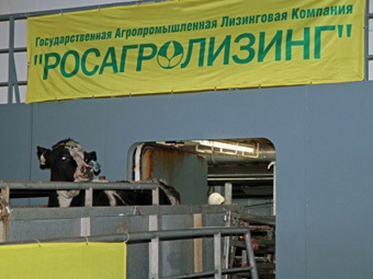    sdelanounas.ru