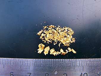 ������� ��������� ������. ���� � ����� polyusgold.com 