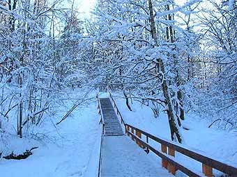 ��� �� ���������� ��������. ���� ������������ InsiderMK � ����� panoramio.com