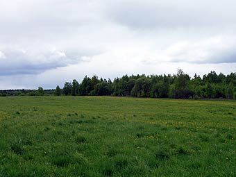 ������� ��� ��������� � ��������� �������. ���� � ����� green-belt.ru