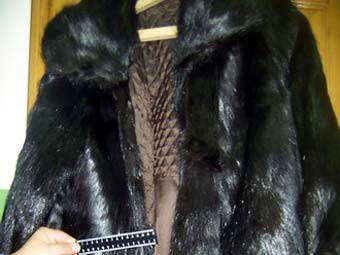 ����, ������� � ������ � ��������. ���� � ����� dvtu.customs.ru