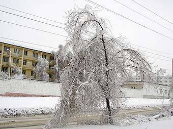 ���������. ���� � ����� volgograd.ru