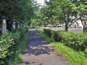 ���� � �������������. ���� � ����� tipazheleznogorsk.narod.ru