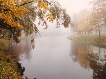 ���� ����. ���� � ����� fototerra.ru