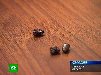 ���������� �������� ����. ���� ���������� ���