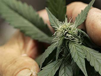 �������� �������. ���� &copy;AFP